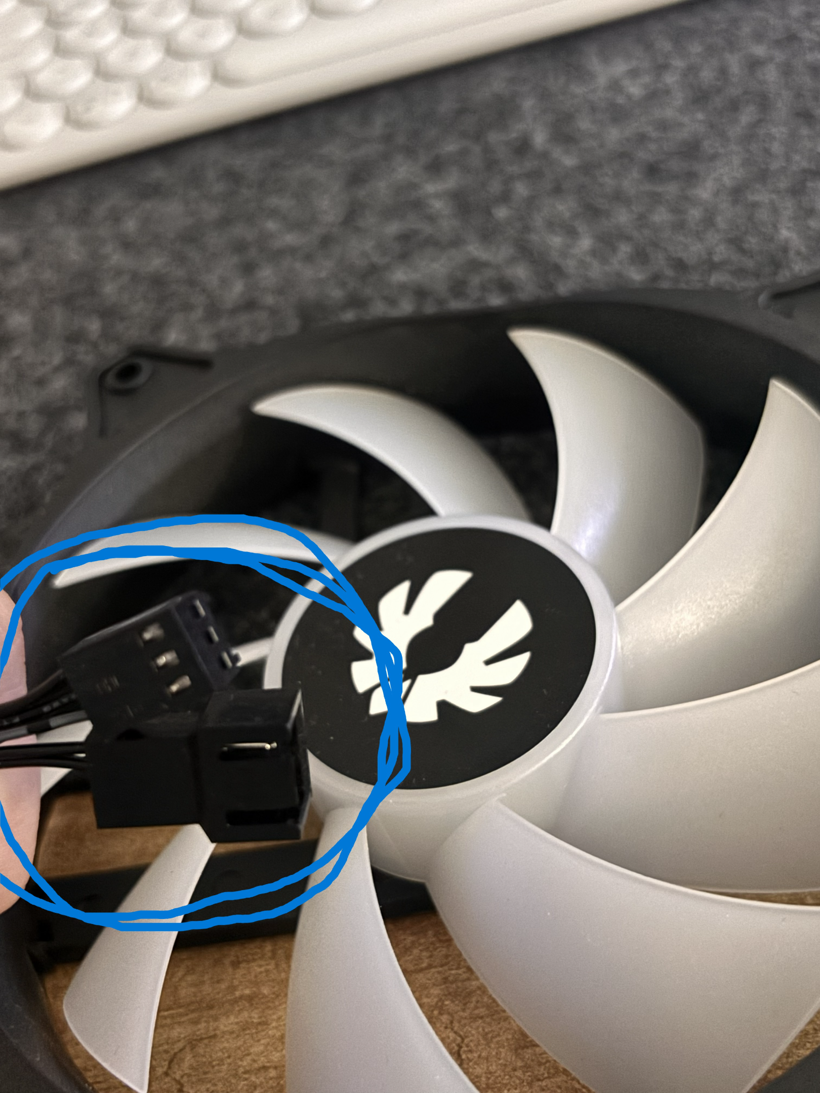 fan.webp