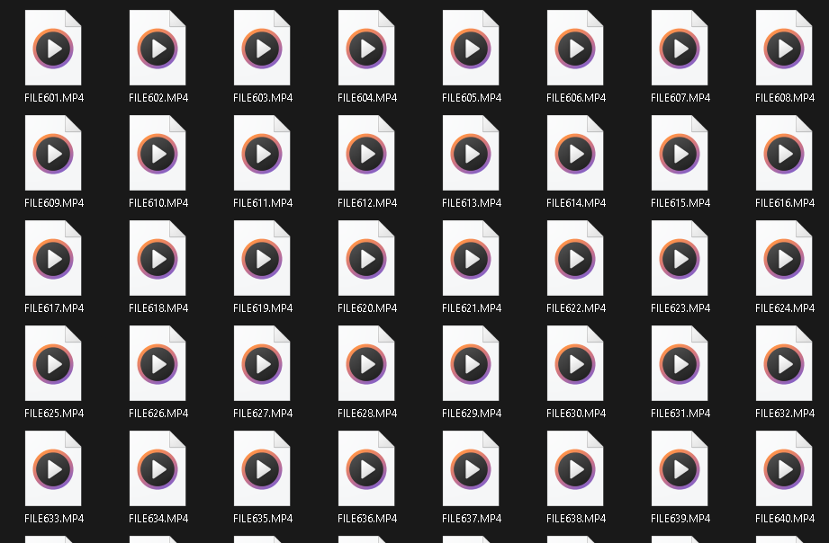 file_3.webp