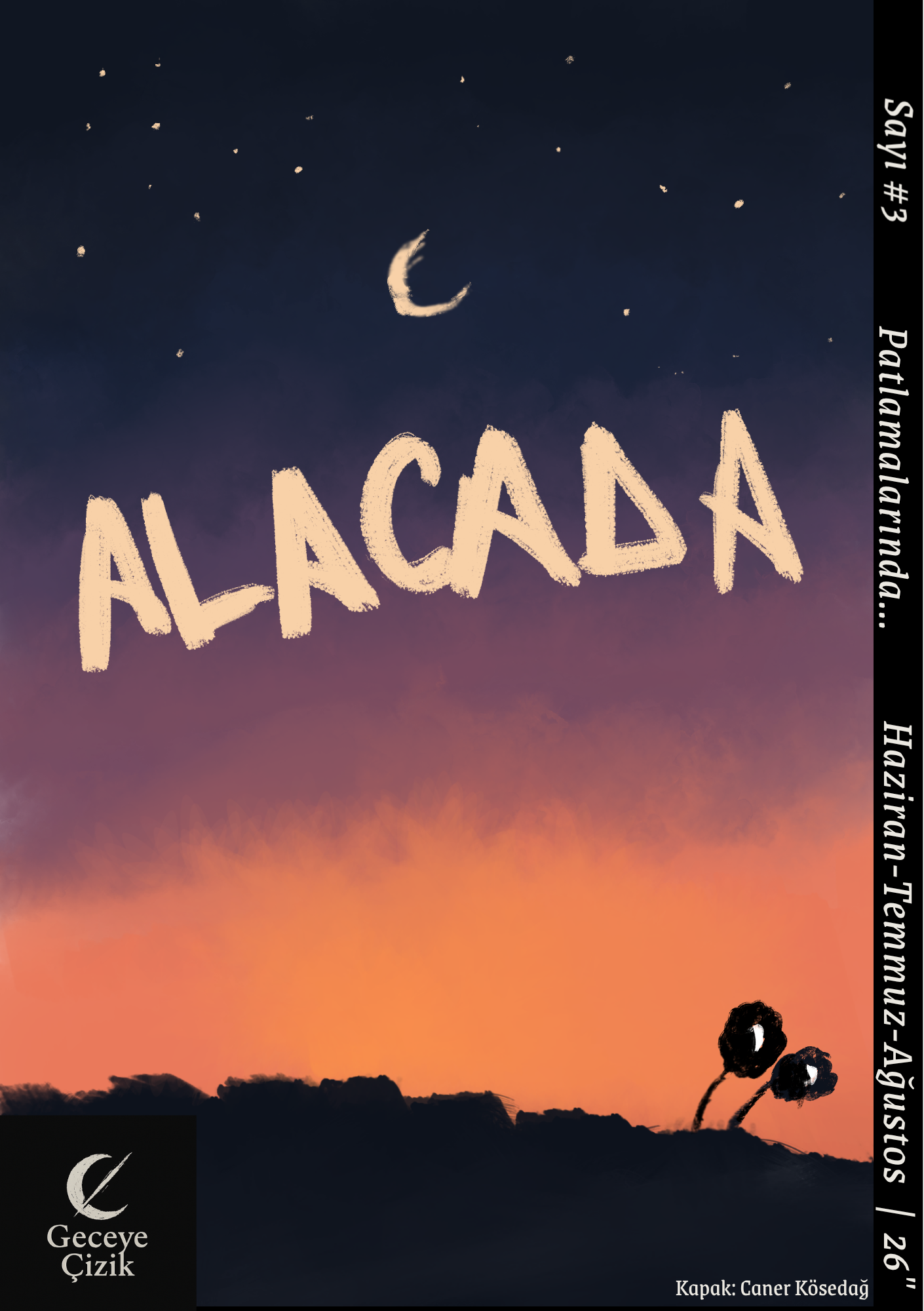 Geceye Çizik #3 Alacada.webp