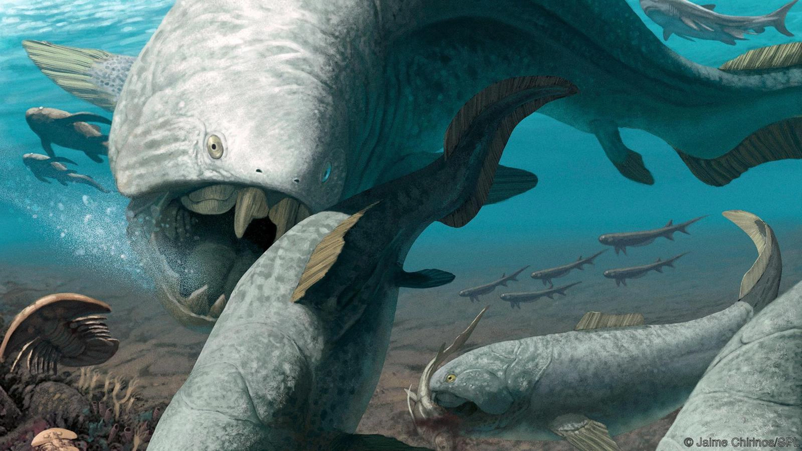 global-anoxia-dunkleosteus.webp