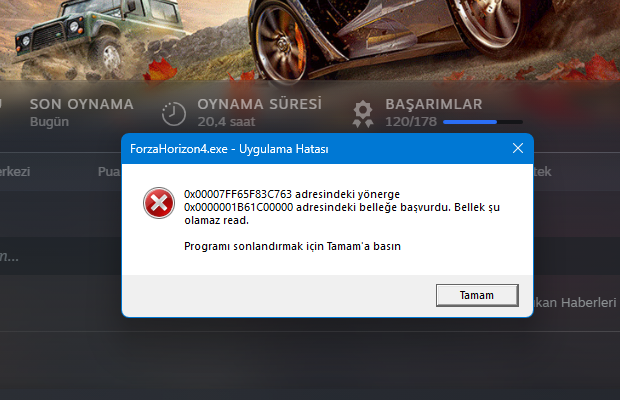 Görsel.webp