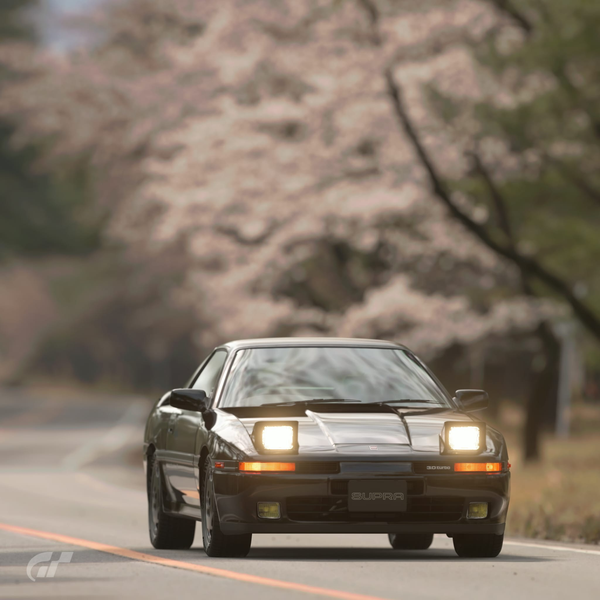 gt1.webp