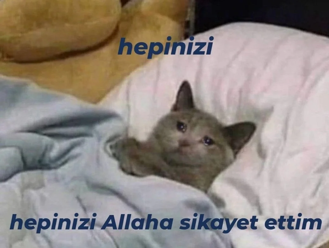 GY5VkWUXMAAGcRW.webp