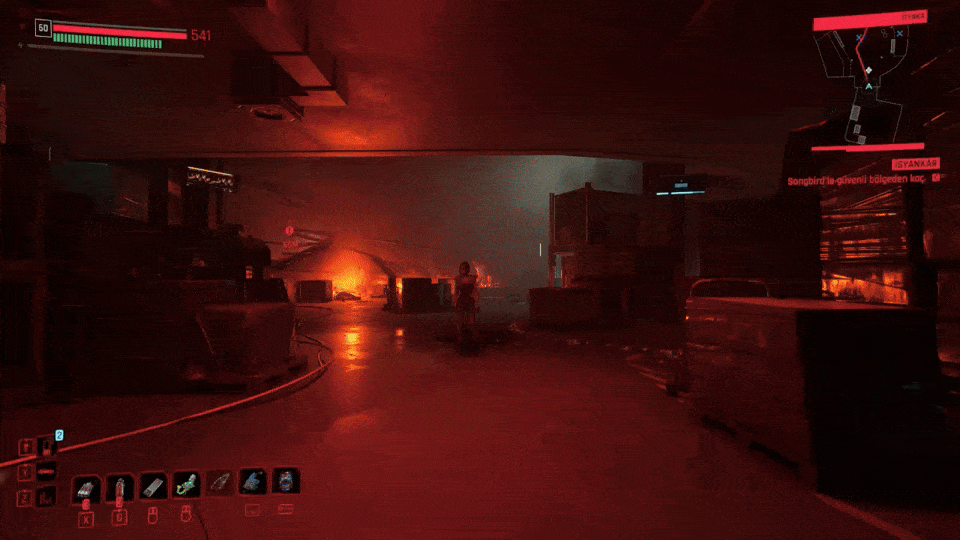 hansen.gif