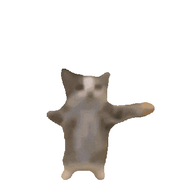 happy-cat-happy-happy-cat.gif