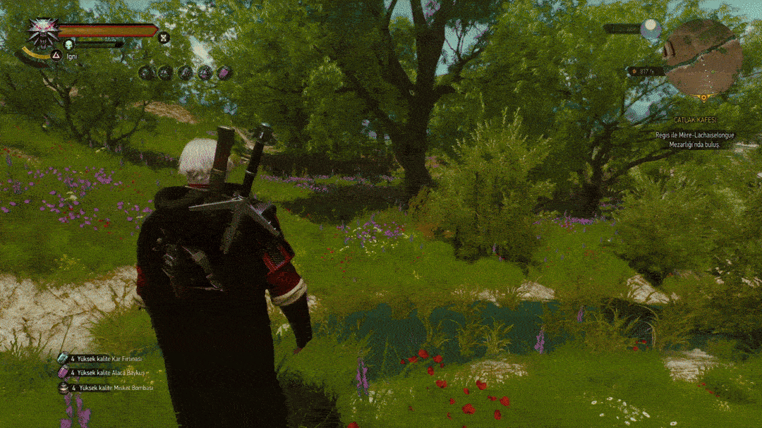 igni (2) (1).gif