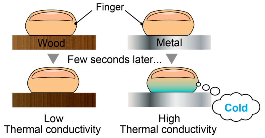 Illustration-of-heat-transfer-when-we-touch-wood-and-metal-at-the-same-temperature-with.webp