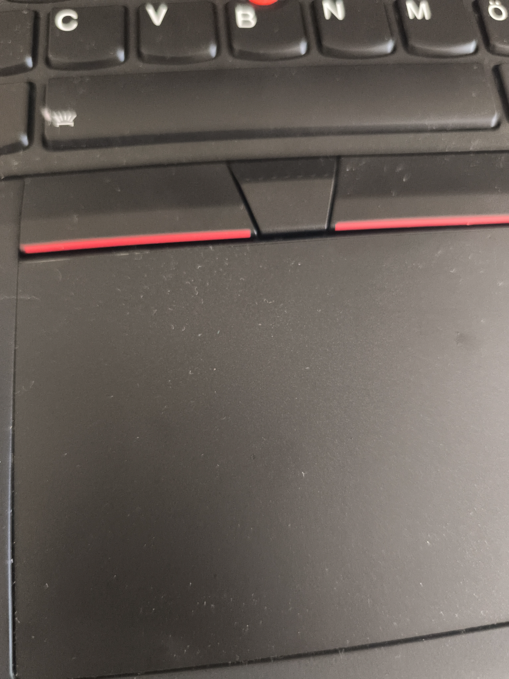 image-1783504856982.webp