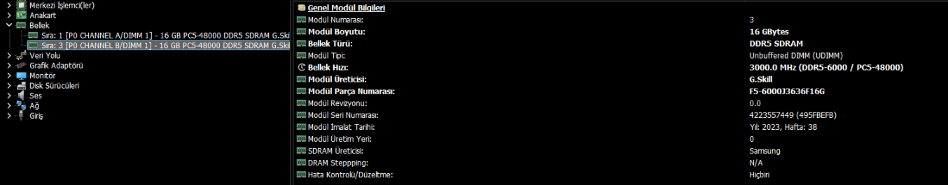 image (3).webp