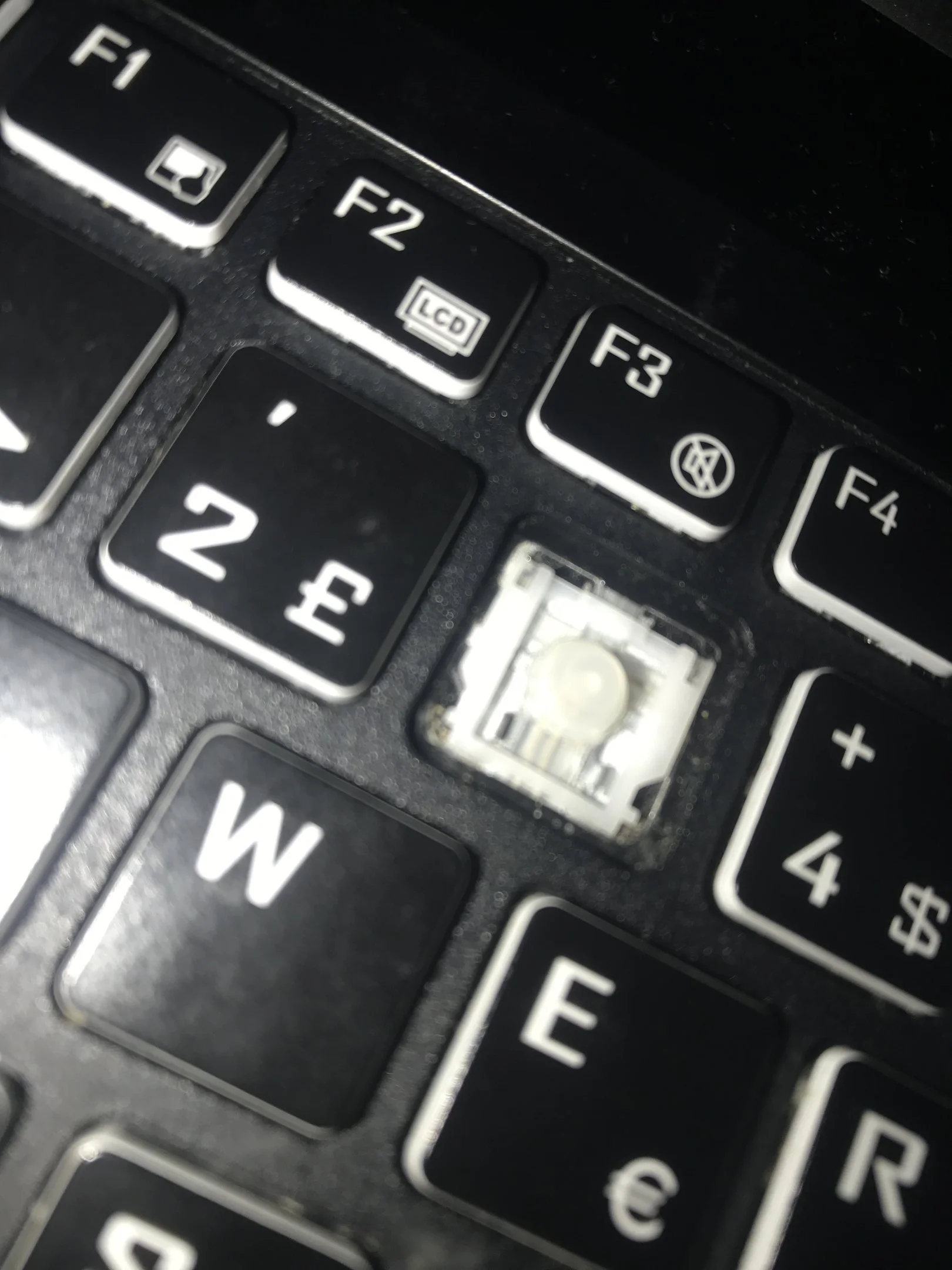 image.webp