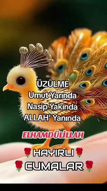 images(2).webp