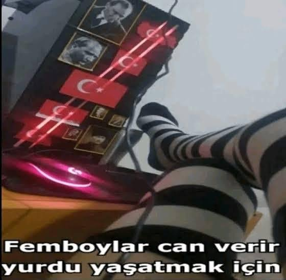 images (2).webp