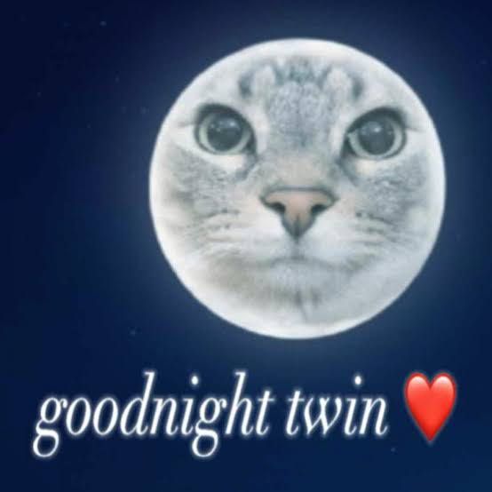 images (5).webp