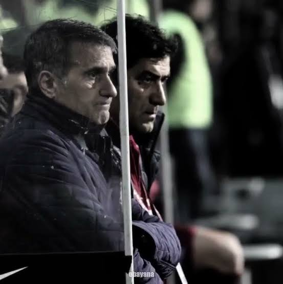images (53).webp