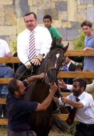 images (6).webp