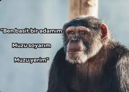 images.webp