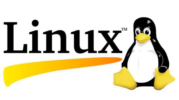 images.webp