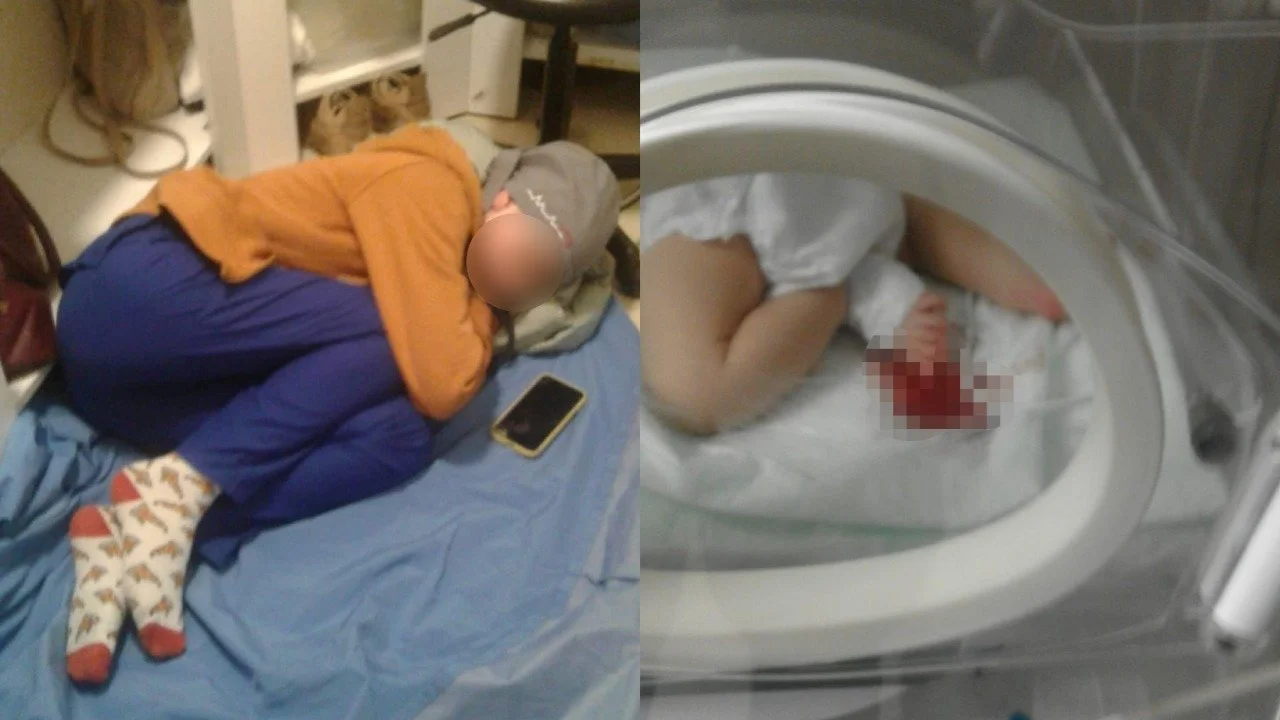 IMG-20241106-WA0000.webp