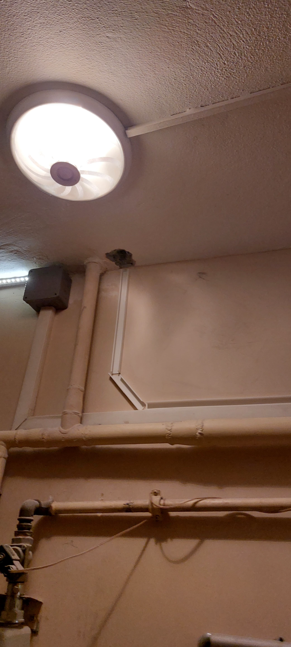 IMG-20250213-WA0042.webp