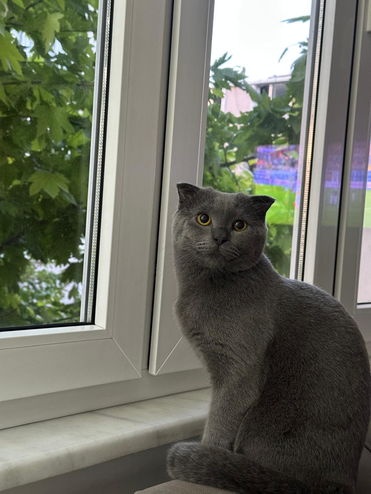 IMG-20250518-WA0016(1).webp