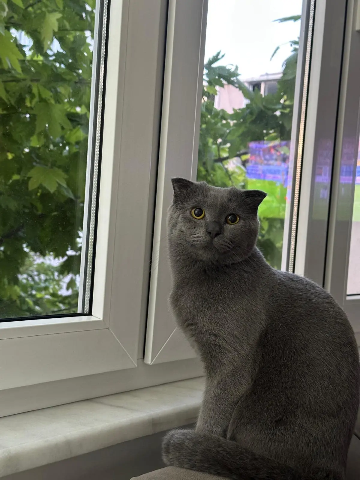 IMG-20250518-WA0016.webp