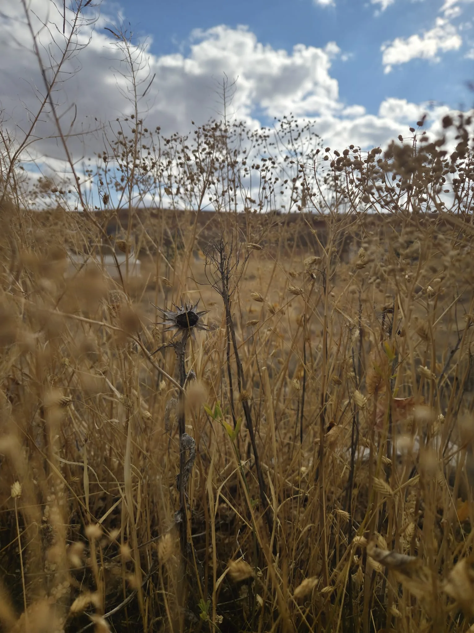 IMG-20251025-WA0086.webp