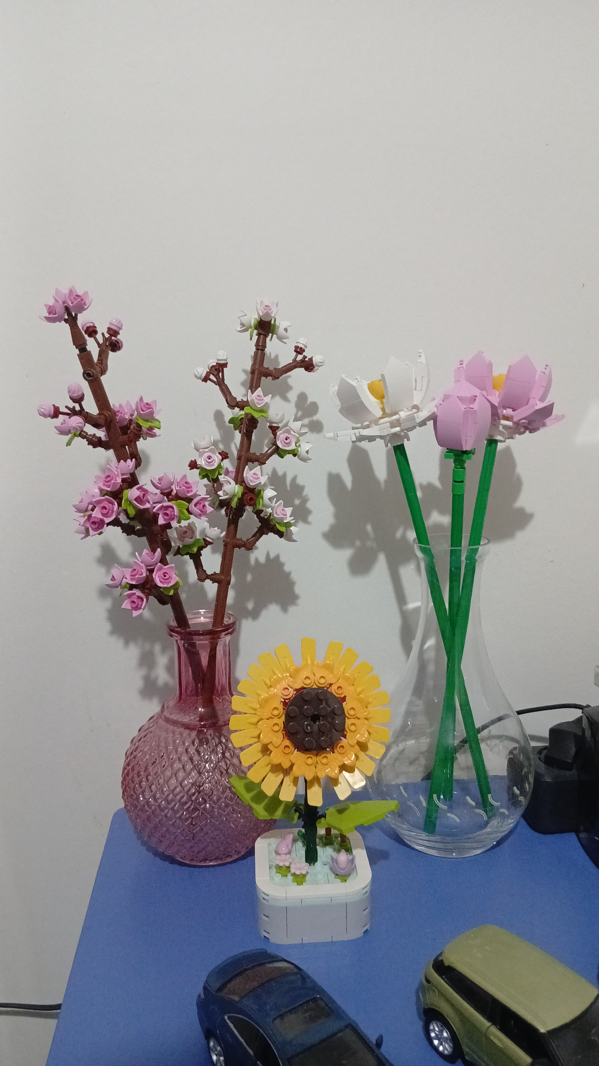 IMG-20260226-WA0009.webp