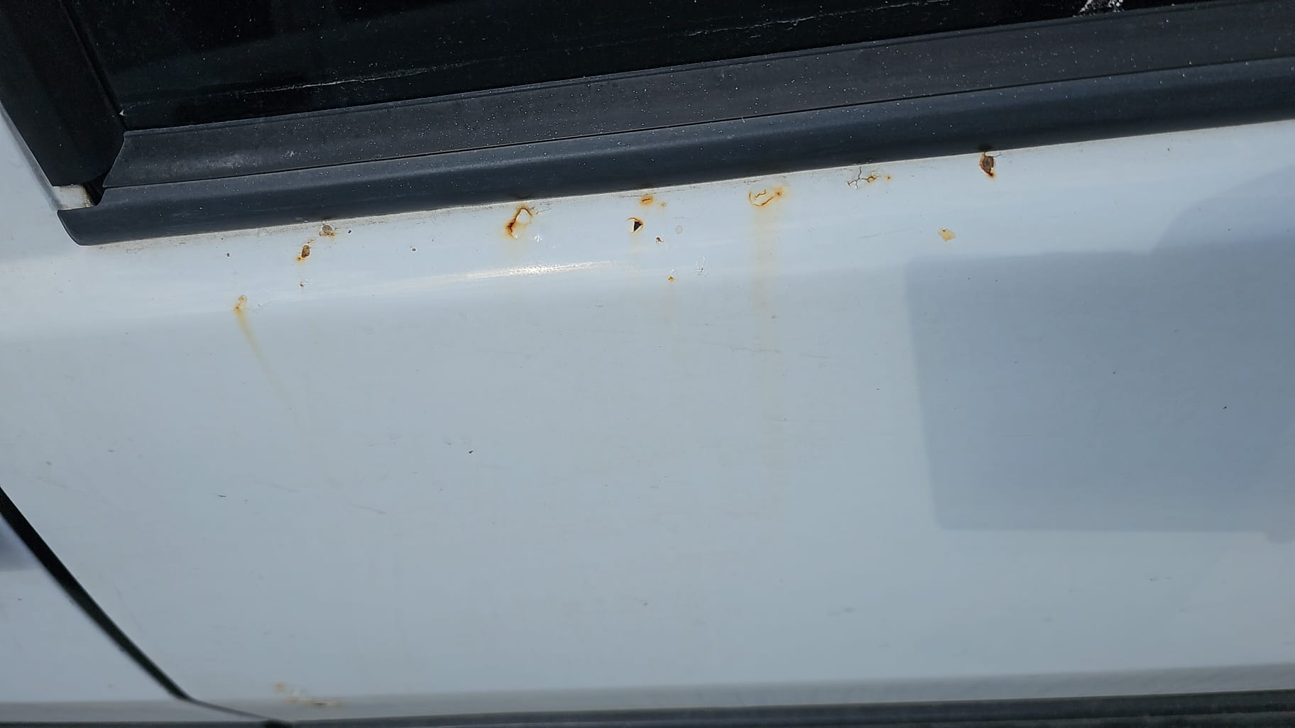 IMG-20260621-WA0029.webp