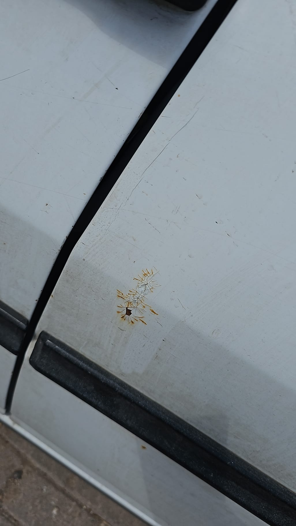 IMG-20260621-WA0031.webp