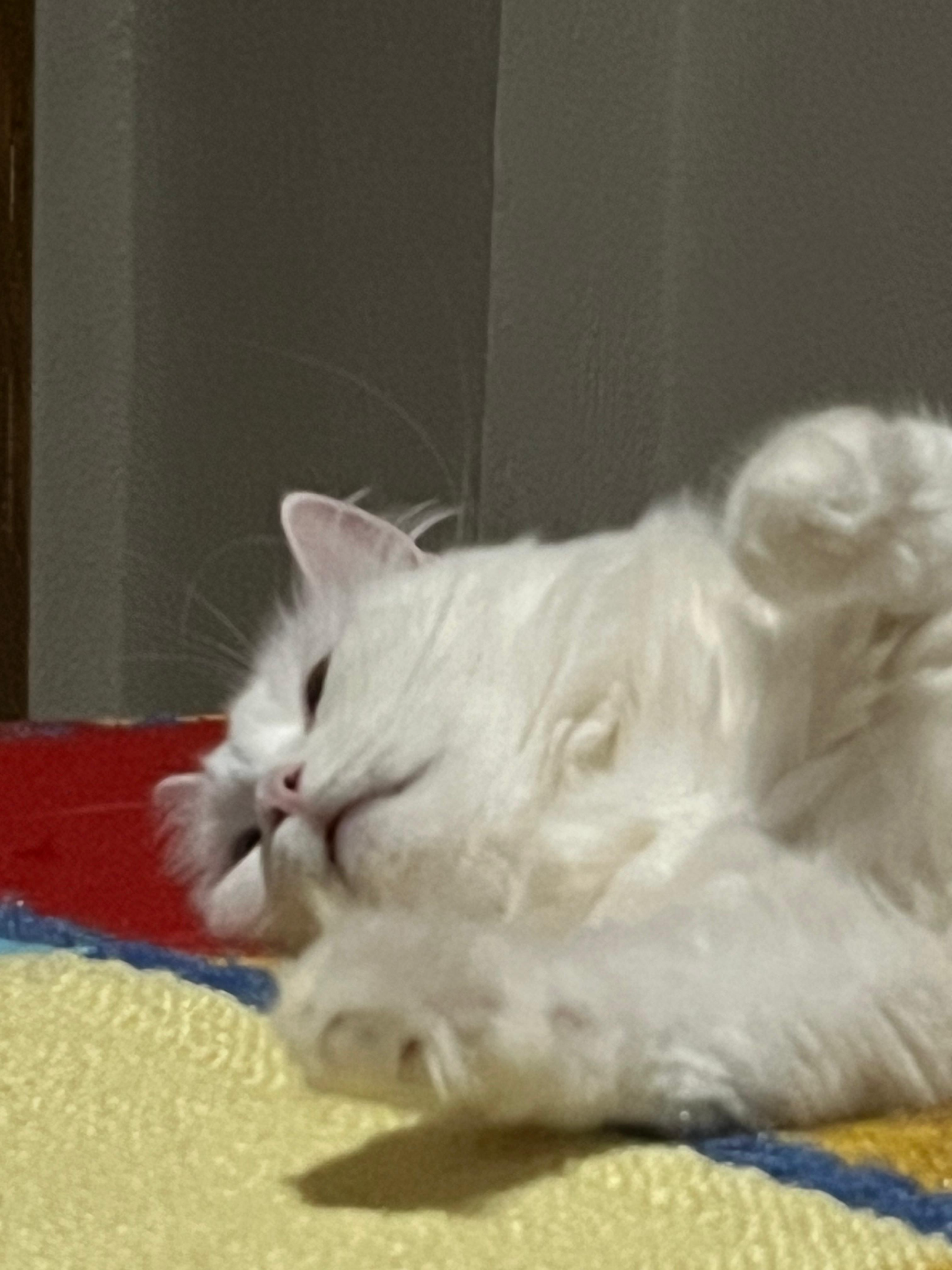 IMG-20261008-WA0000.webp