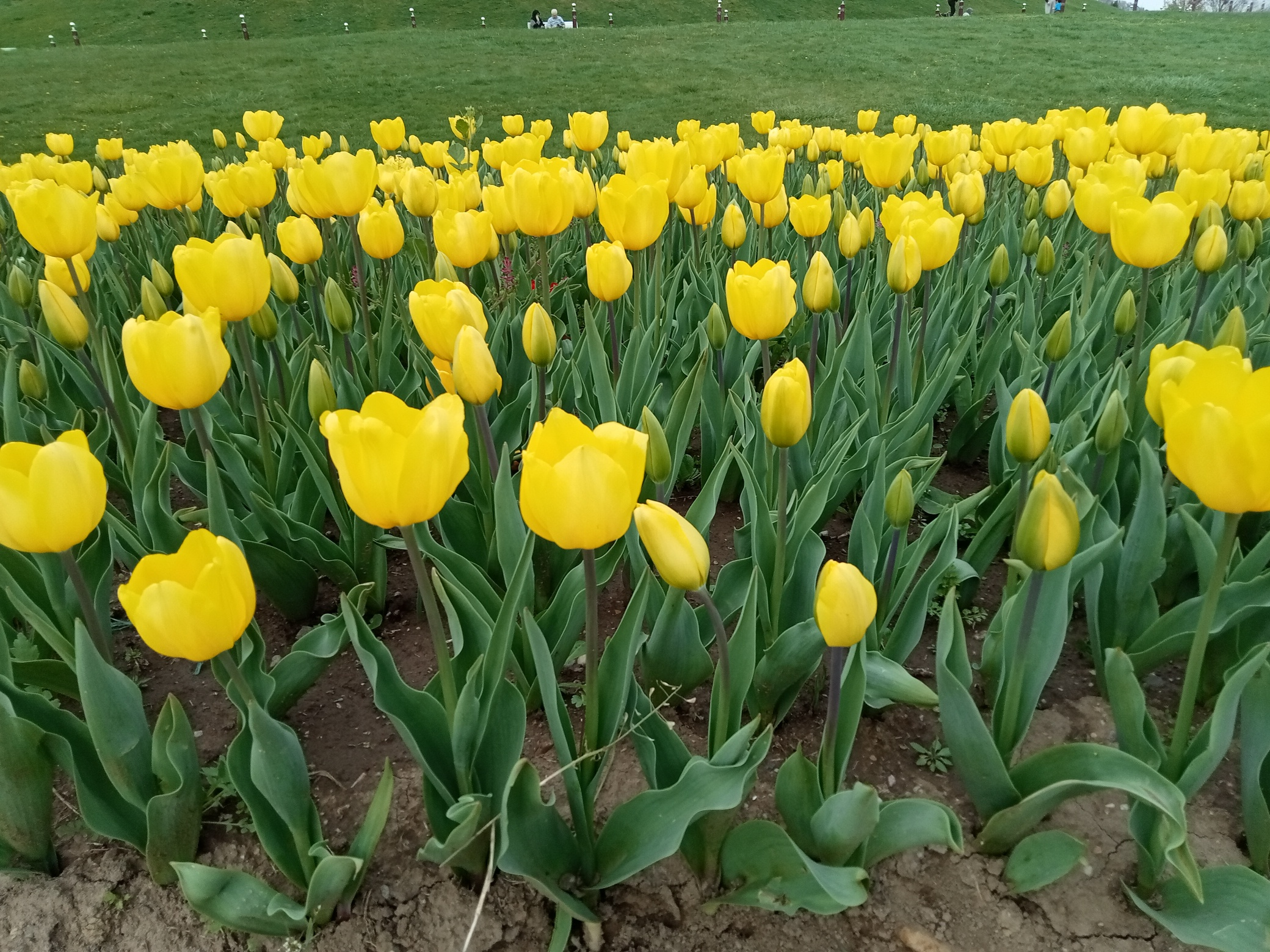 IMG20230401164323.webp