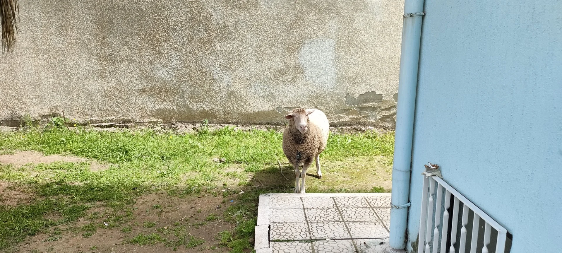 IMG20240327131024.webp