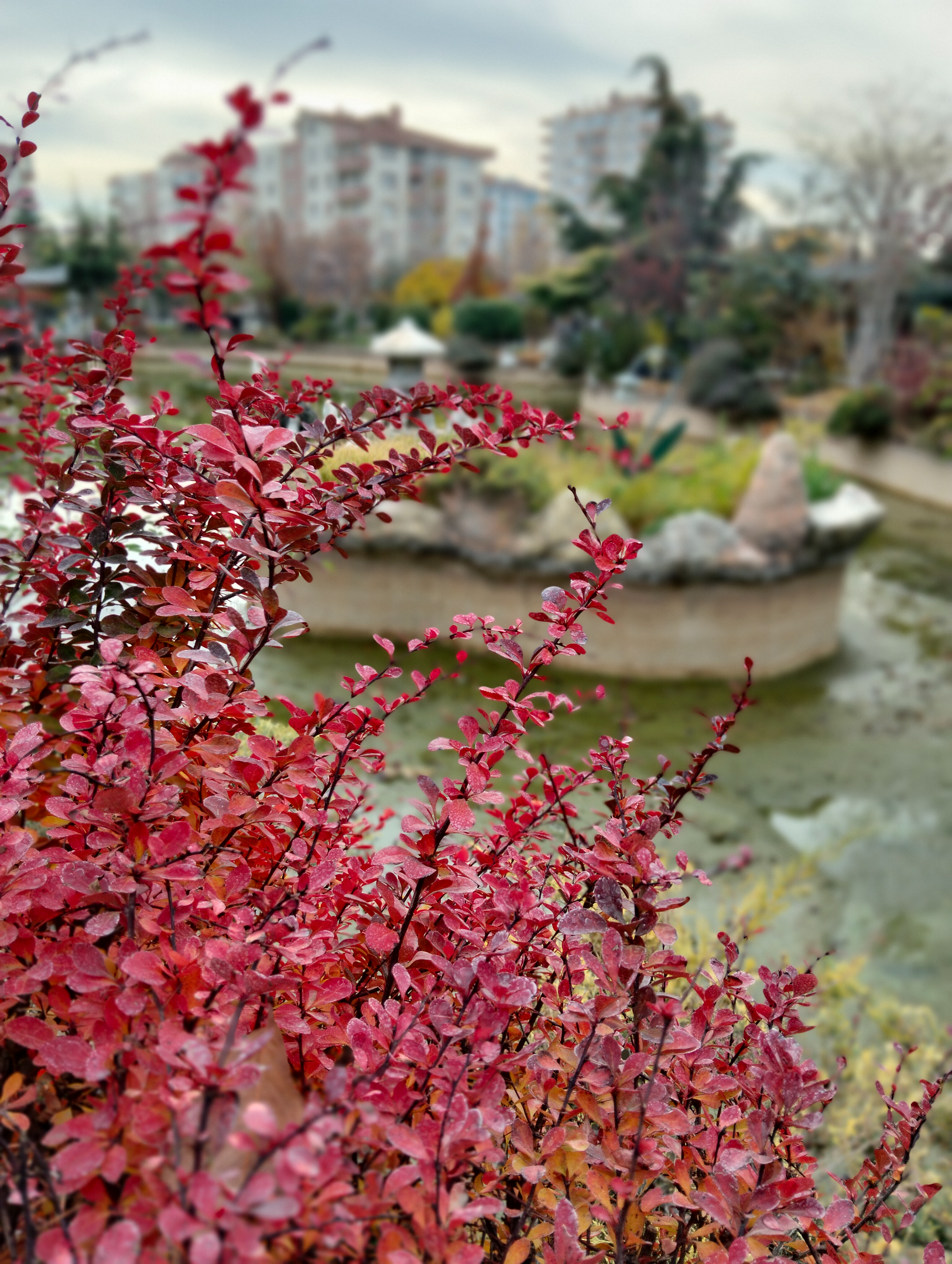 IMG20251128151621.webp