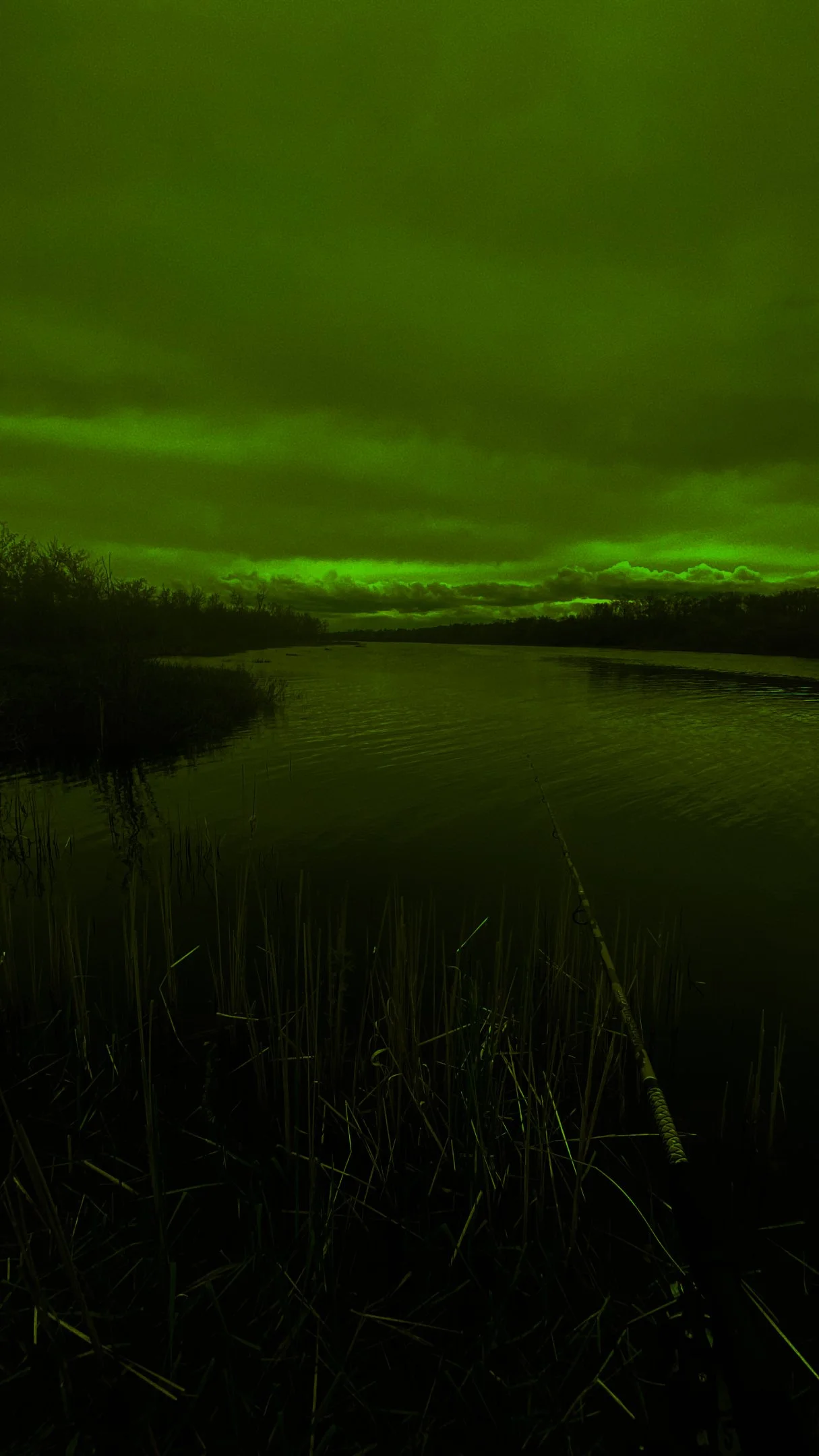 IMG_0609.webp