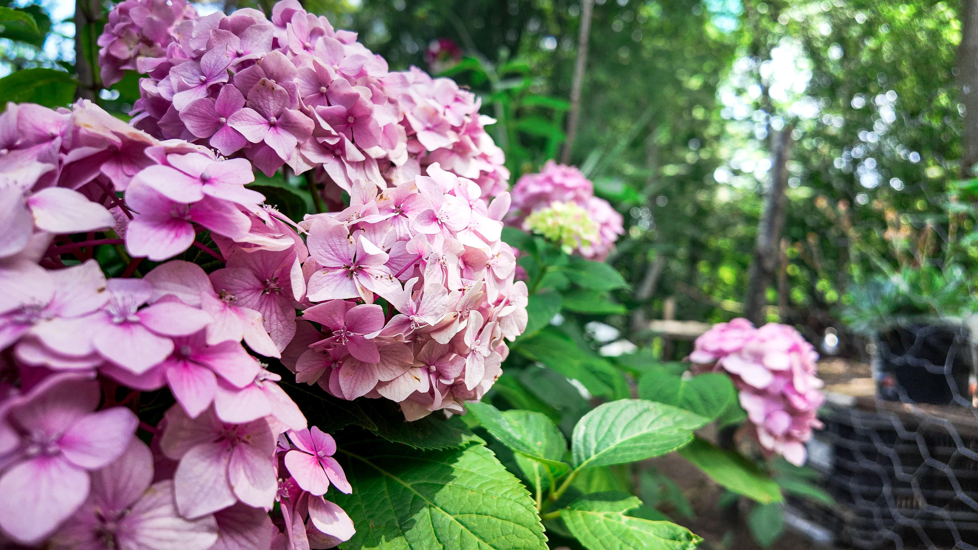 IMG_0653.webp