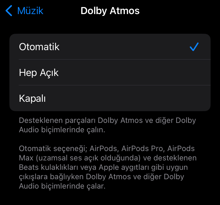 IMG_1555.webp