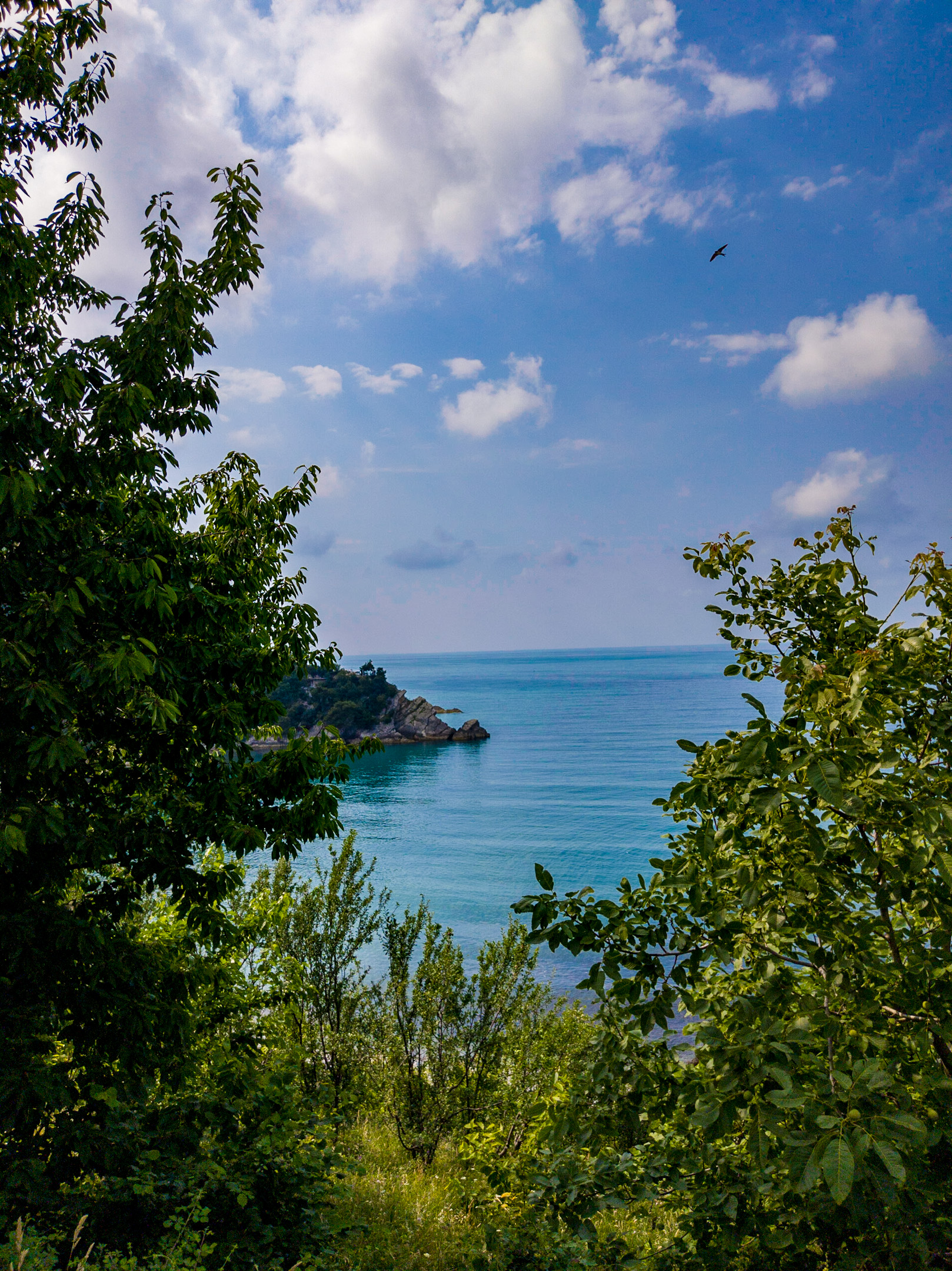 IMG_20220709_160825.webp