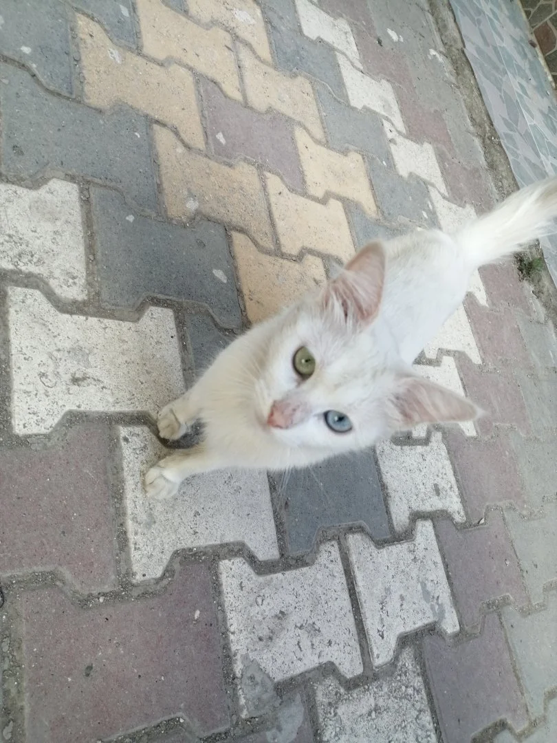 IMG_20220914_144303.webp
