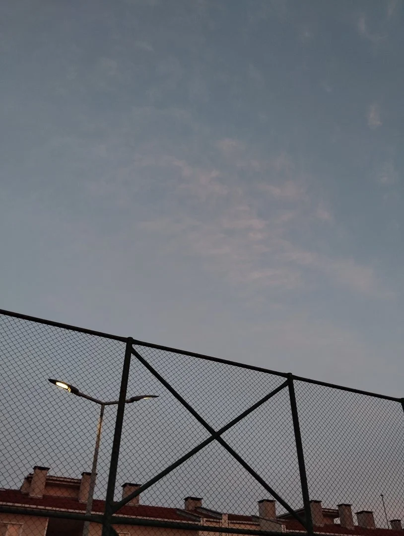 IMG_20240228_185619.webp