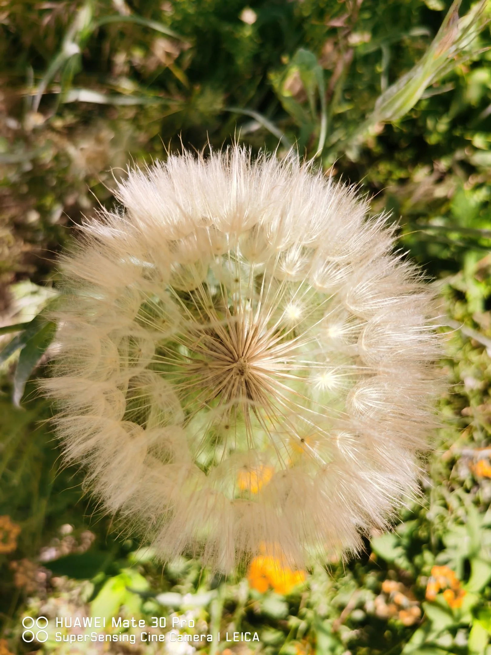 IMG_20240607_115912.webp