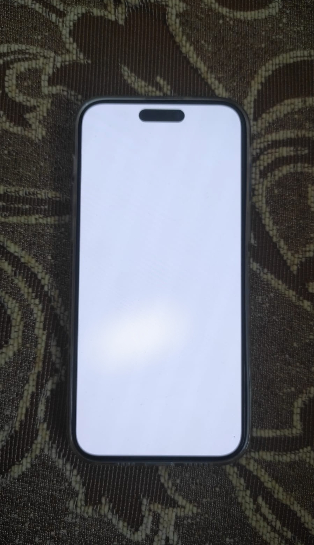 IMG_20240702_184135.webp