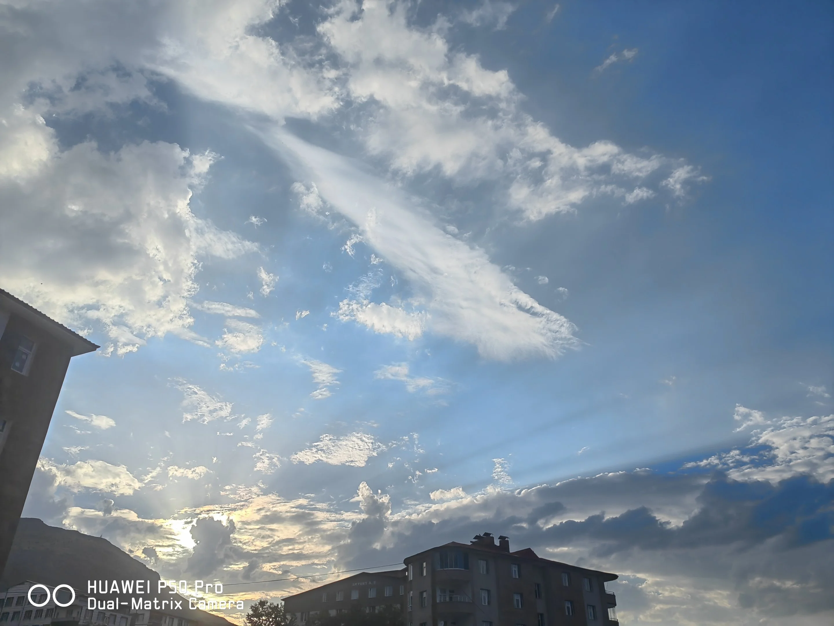 IMG_20240710_182242.webp