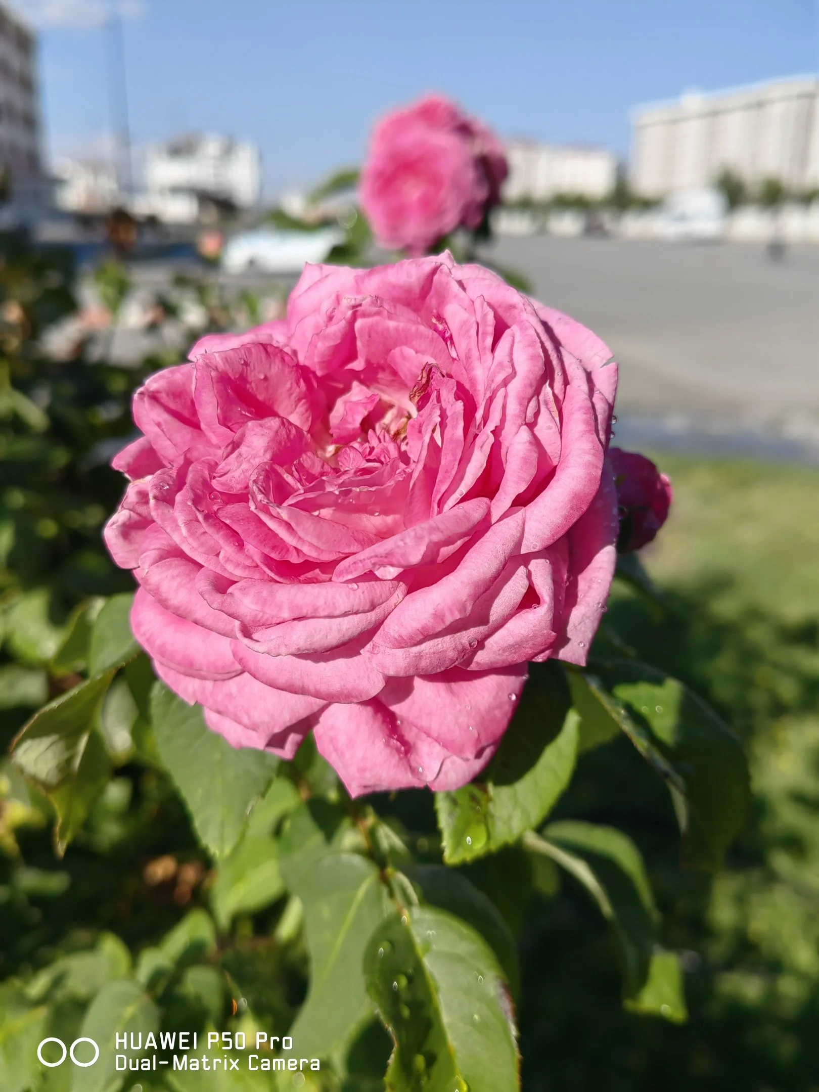 IMG_20240801_165332.webp