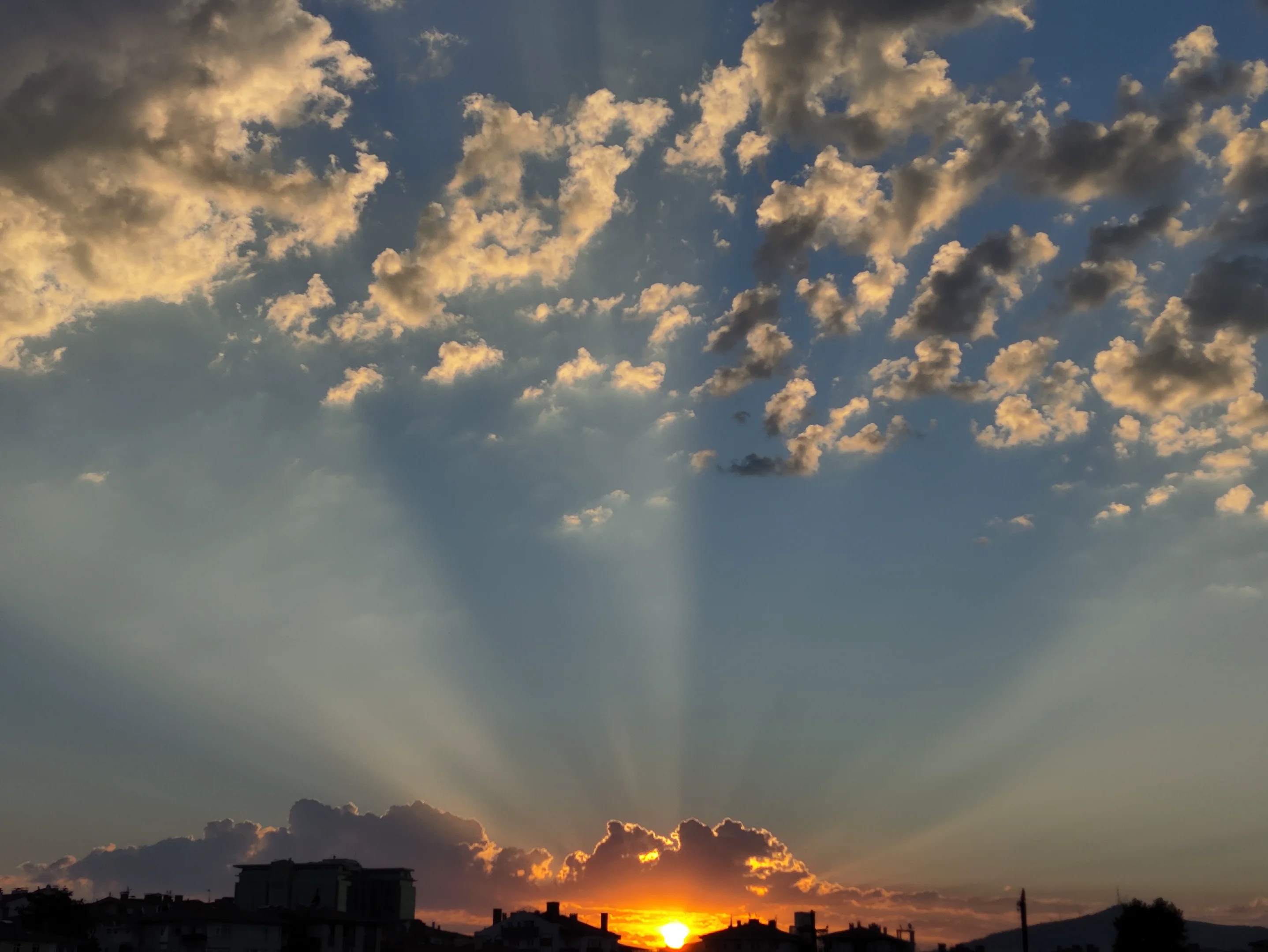IMG_20240822_062430.webp
