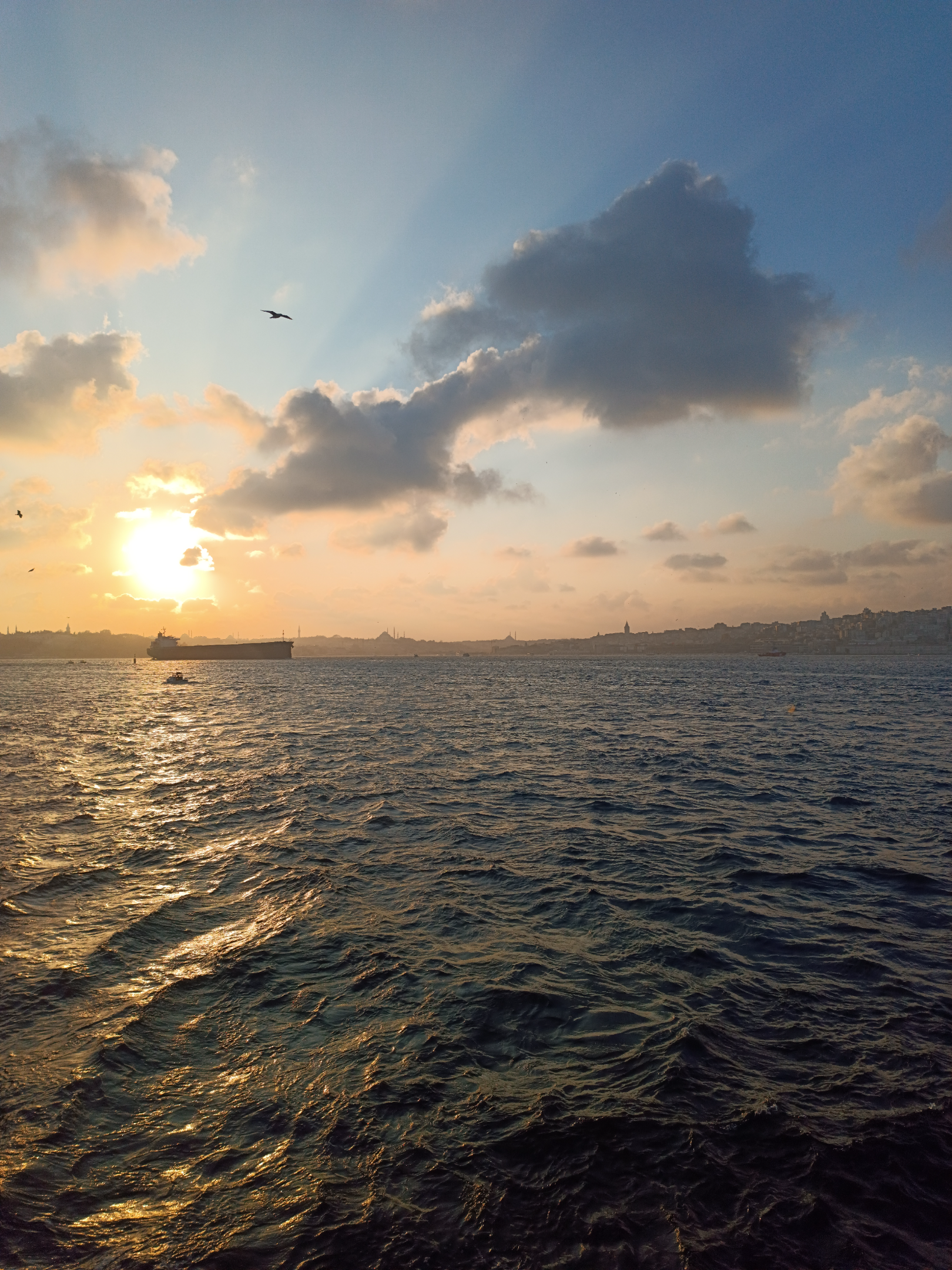 IMG_20241109_171146.webp
