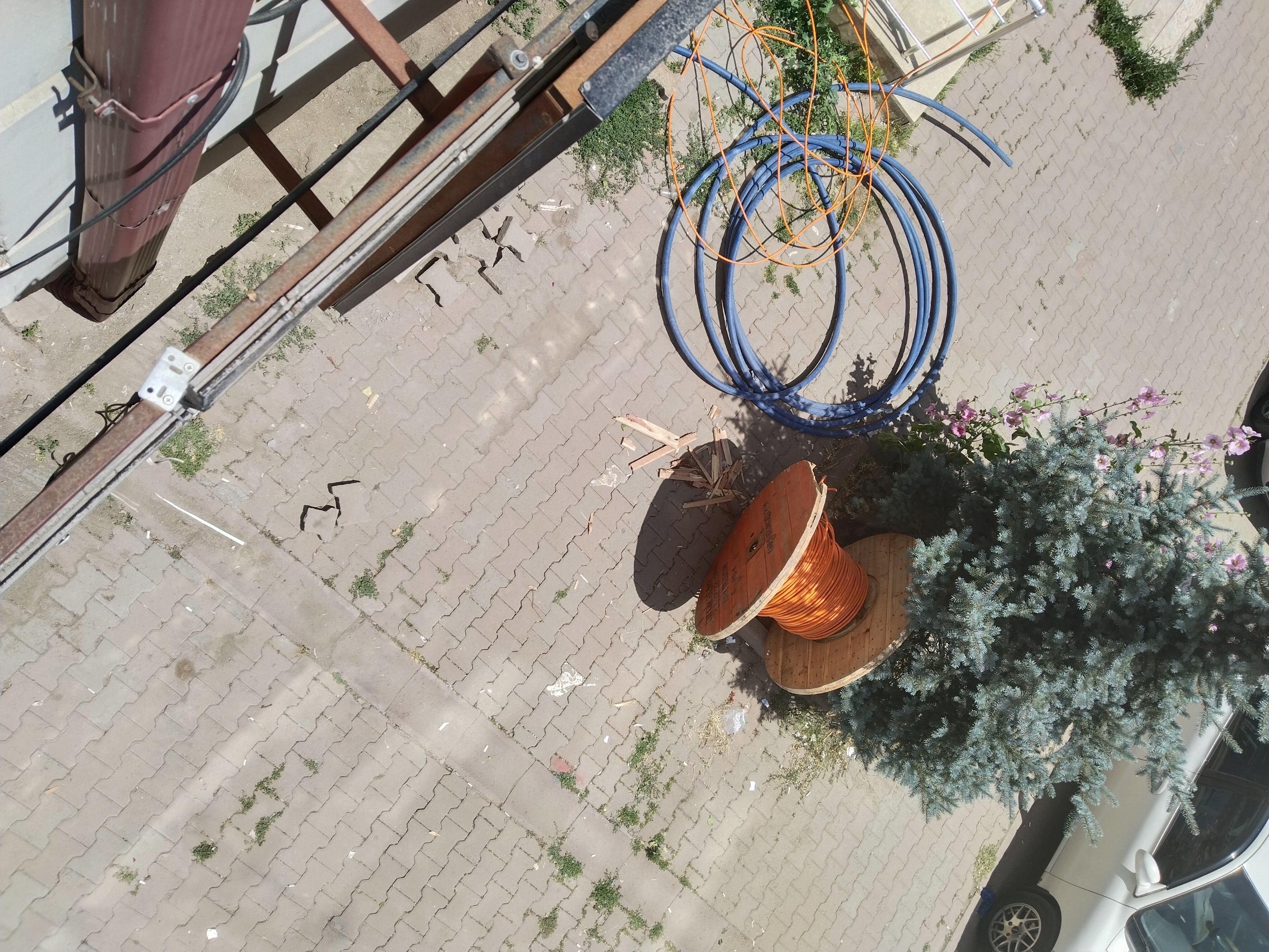 IMG_20250703_124443.webp