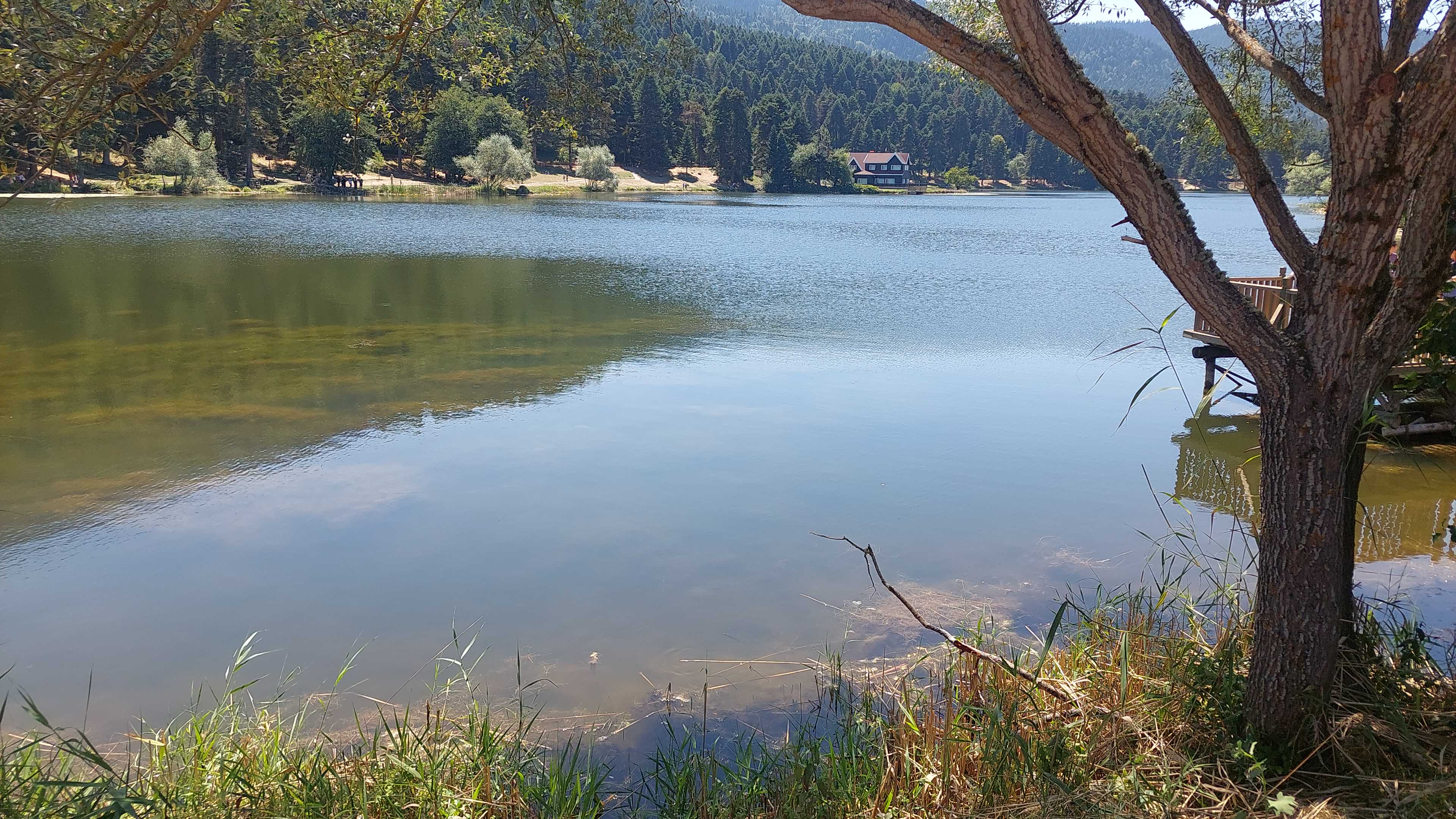 IMG_20250816_133047.webp