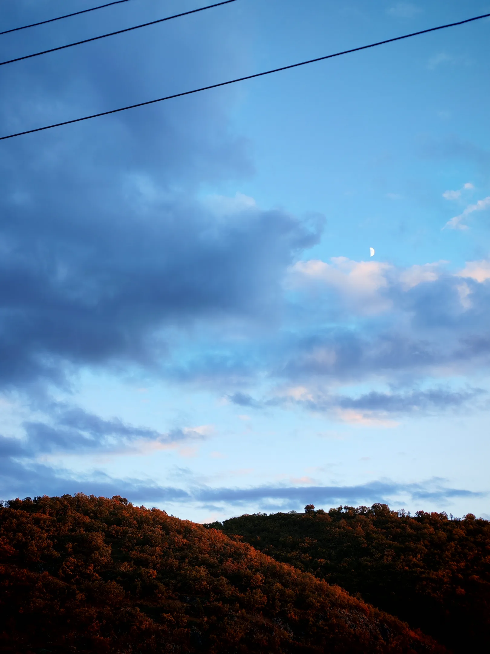 IMG_20251029_172811.webp