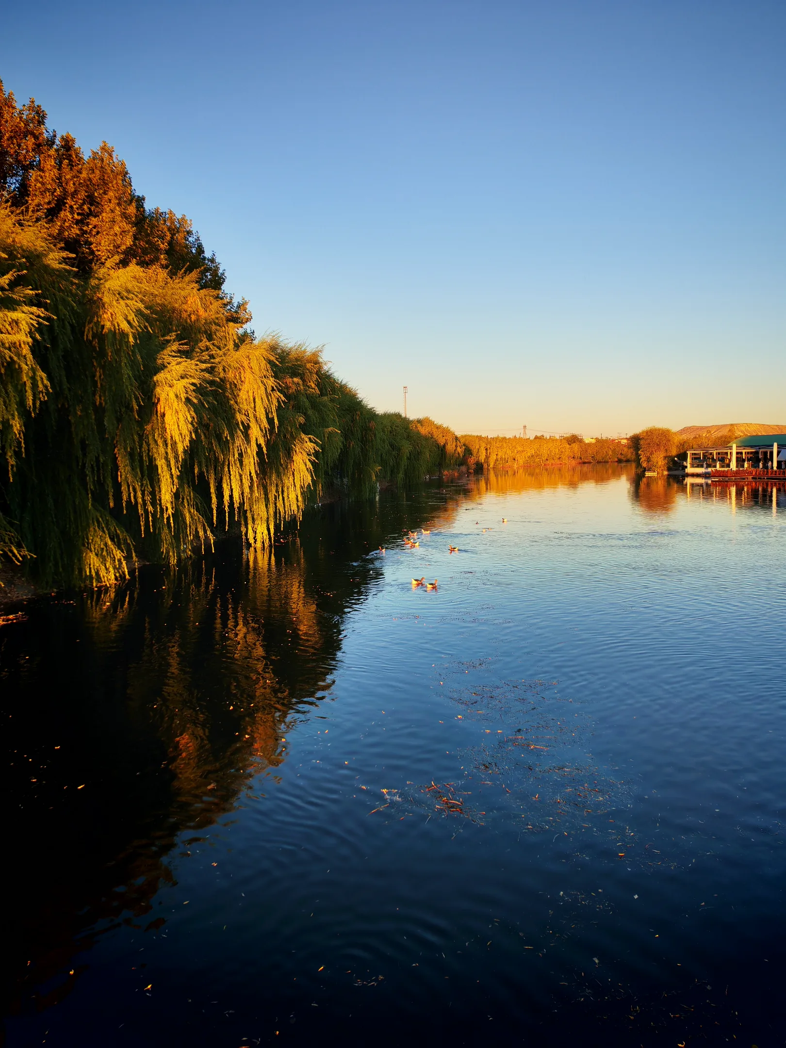IMG_20251030_172400.webp