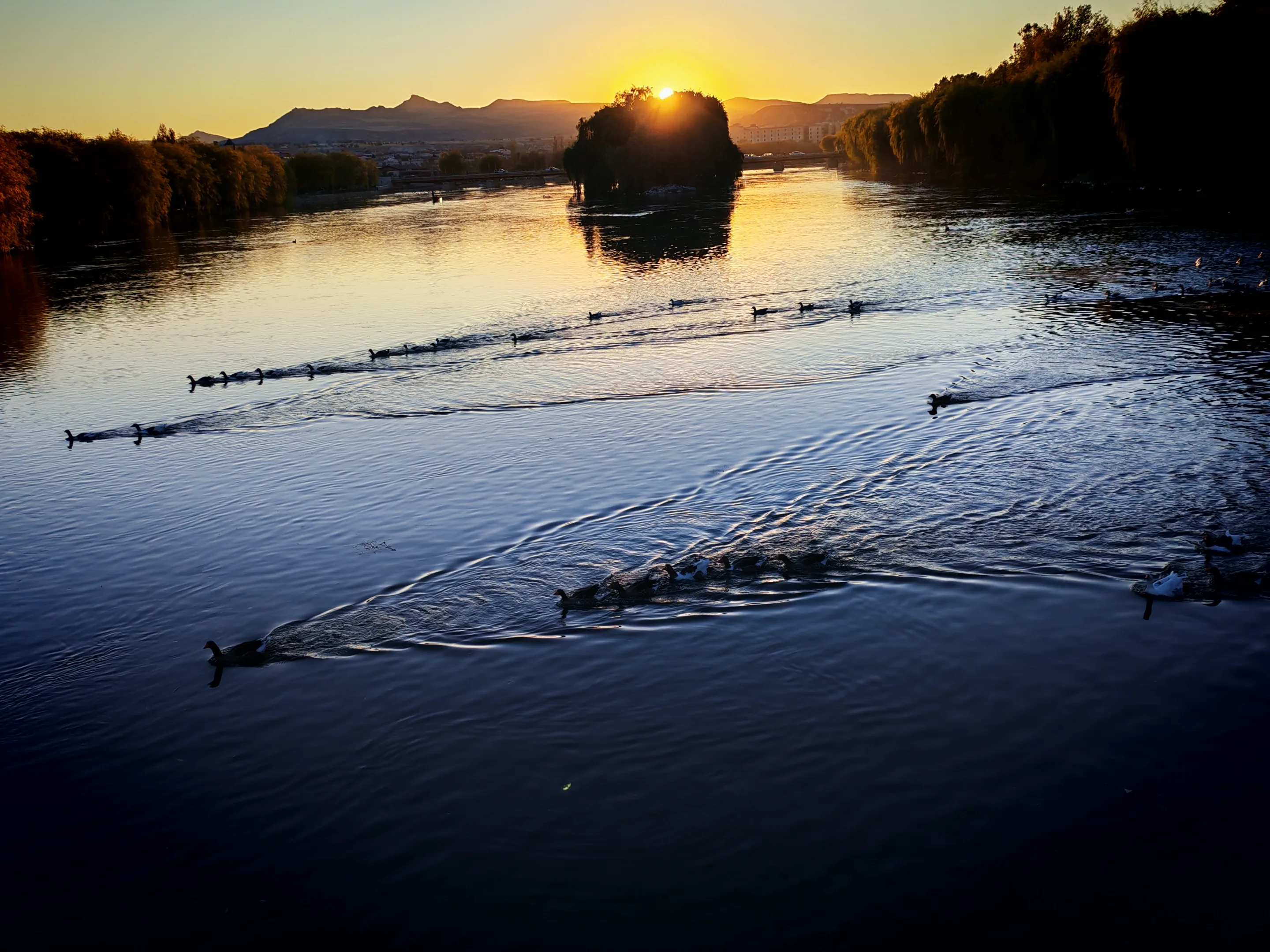 IMG_20251030_172519.webp